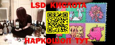 стаф Можга