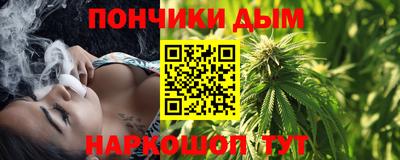 стаф Можга