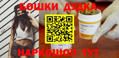 стаф Можга
